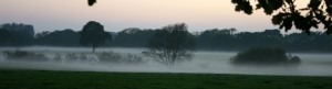 autumn morning